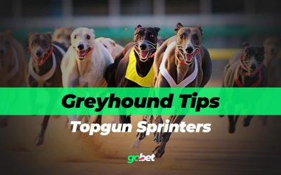 gobet topgun sprinters tips