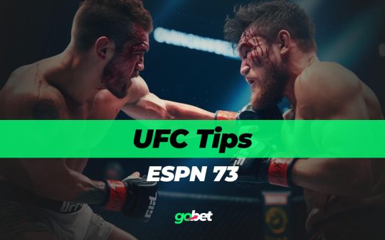 gobet ufc on espn 73 tips