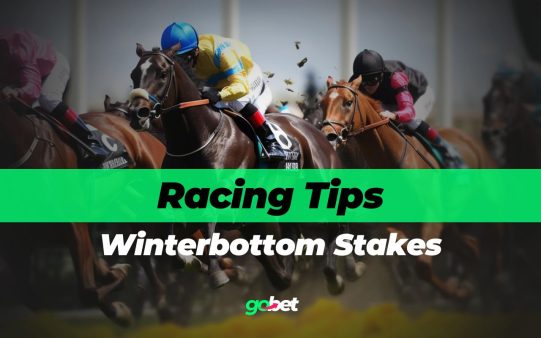 gobet winterbottom stakes tips