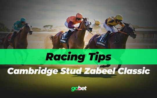gobet cambridge stud zabeel classic tips