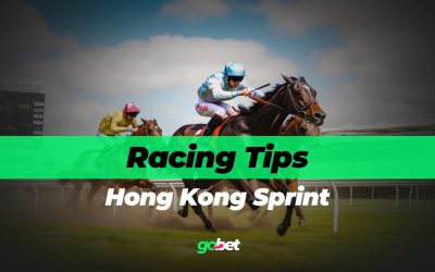 gobet hong kong sprint tips