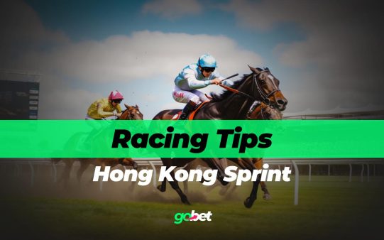 gobet hong kong sprint tips