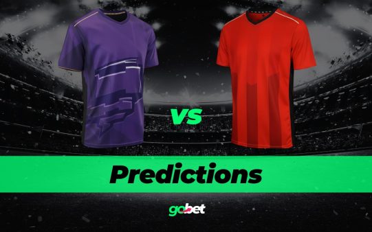 gobet hurricanes vs renegades big bash tips