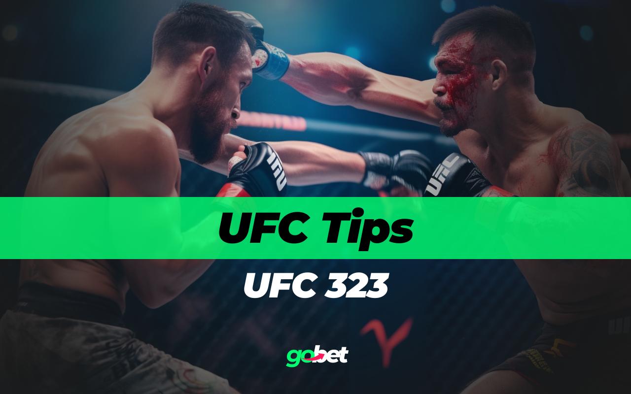 UFC 323: Dvalishvili vs. Yan Predictions
