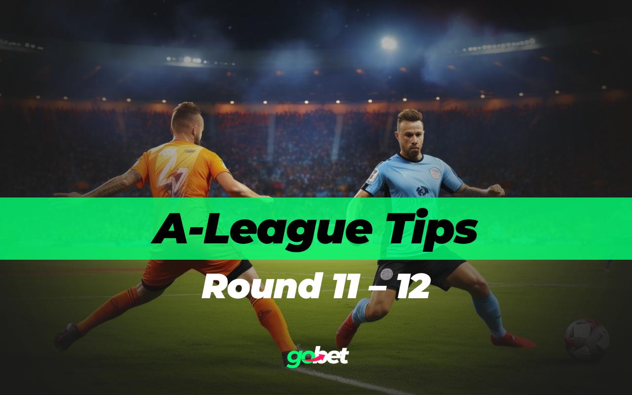 A-League Round 11 – 12 Expert Tips & Predictions
