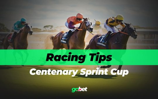 gobet centenary sprint cup tips