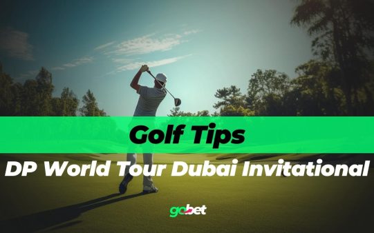 gobet dp world tour dubai invitational tips