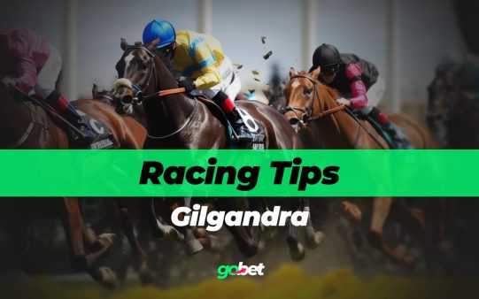 gobet gilgandra racing tips