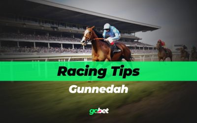 Gunnedah Racing Tips for Monday, January 19th 2026