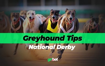 gobet national derby tips
