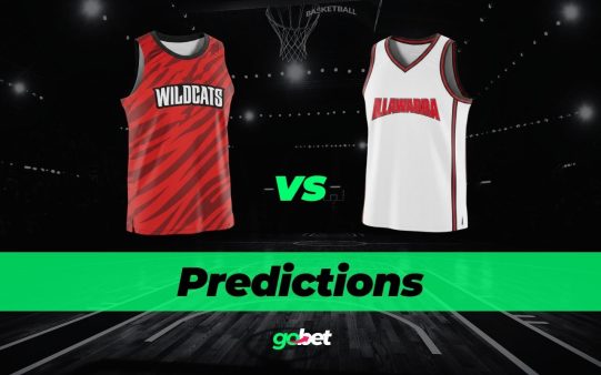 gobet wildcats vs hawks nbl tips
