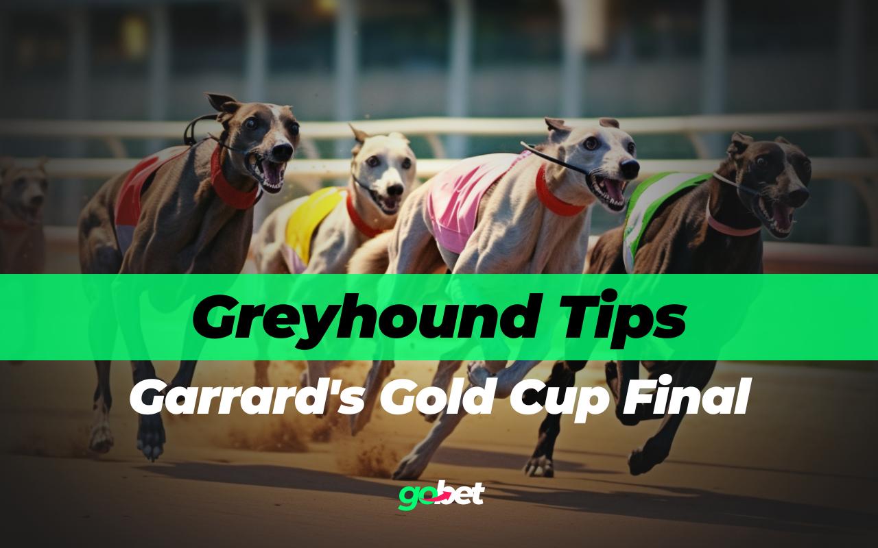 gobet garrards gold cup final tips