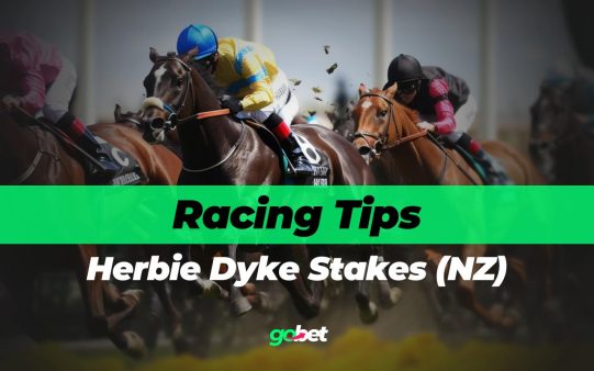 gobet herbie dyke stakes tips