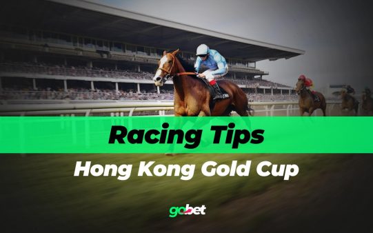 gobet hong kong gold cup tips