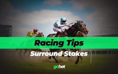 gobet surround stakes tips