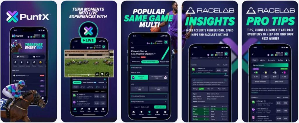 puntx betting app