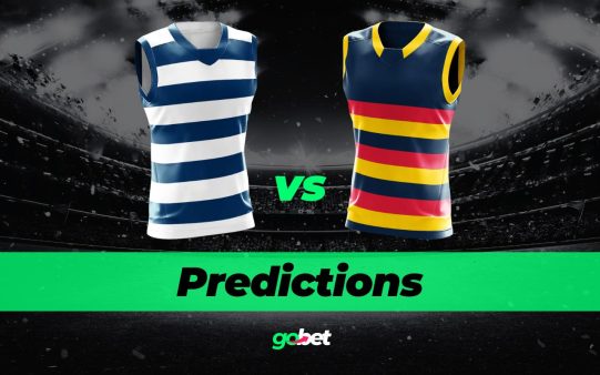 gobet geelong vs adelaide afl tips