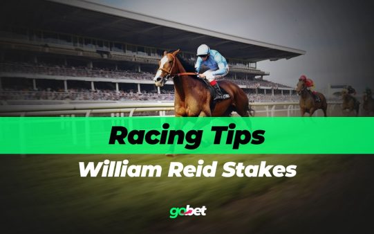 gobet william reid stakes tips