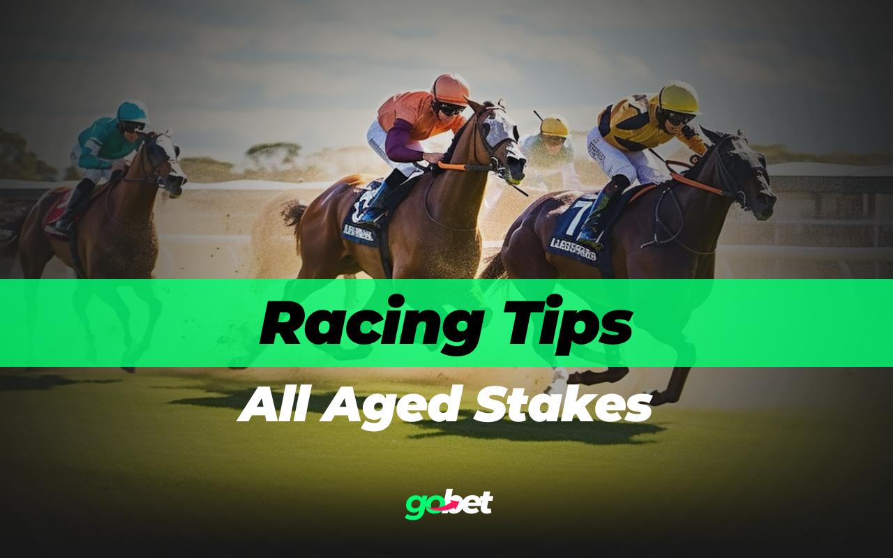 All-Aged Stakes 2026 Betting Tips