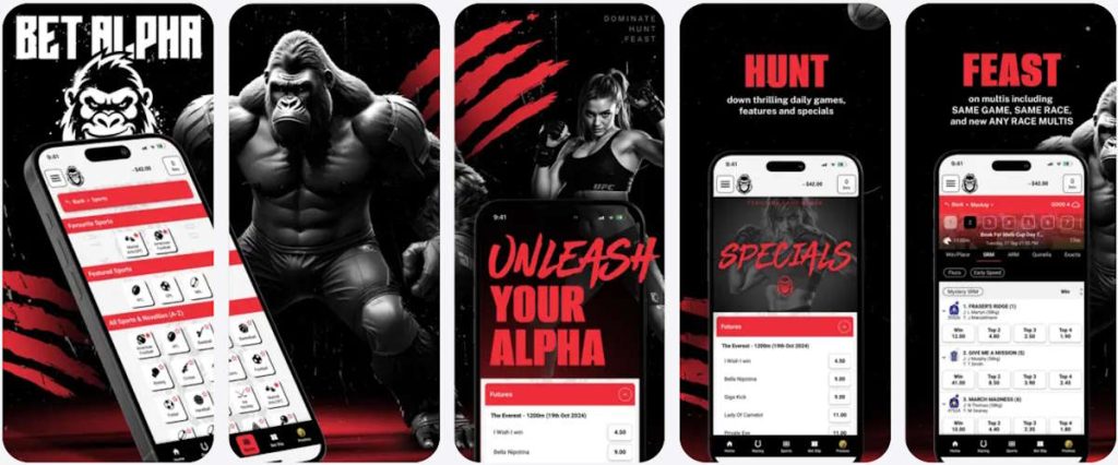 bet alpha betting app
