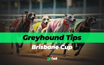 Brisbane Cup 2026 Betting Tips