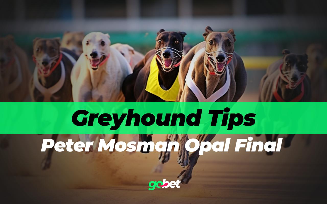 Peter Mosman Opal Final 2026 Betting Tips