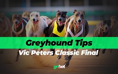 Vic Peters Classic Final 2026 Betting Tips